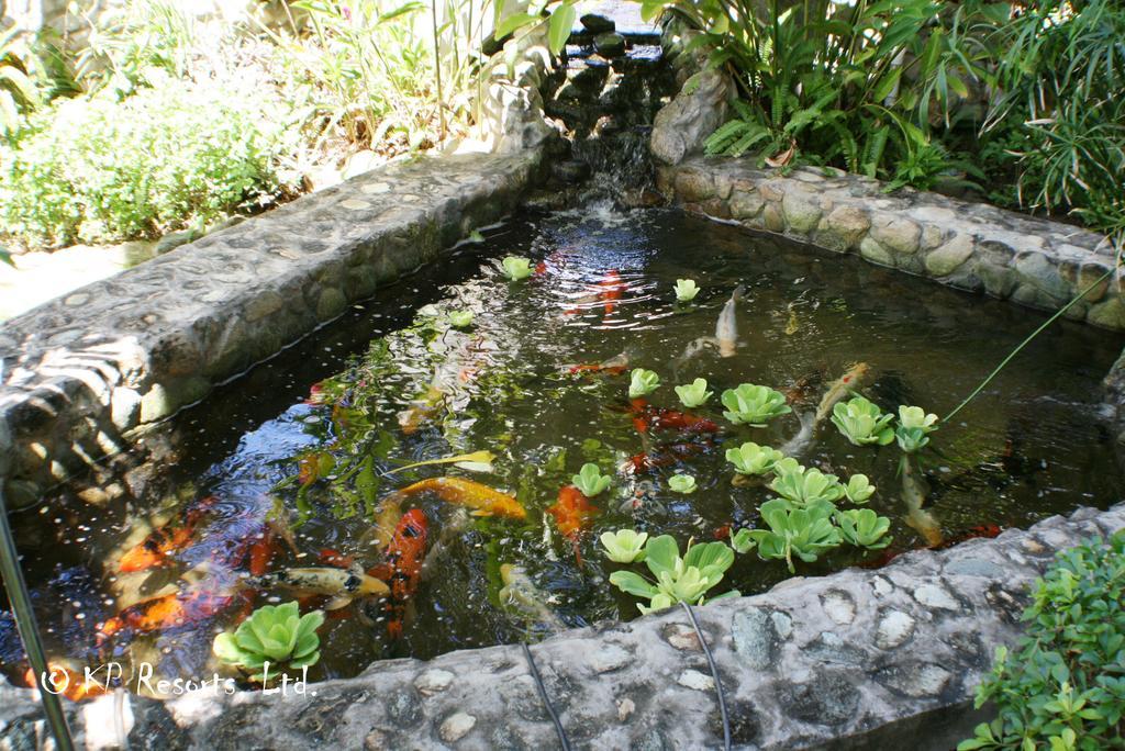 Enchanted Waters Tobago Buccoo Eksteriør bilde